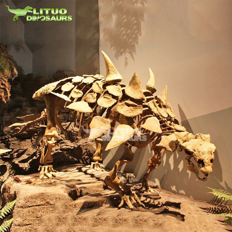 Ankylosaurus Skelett